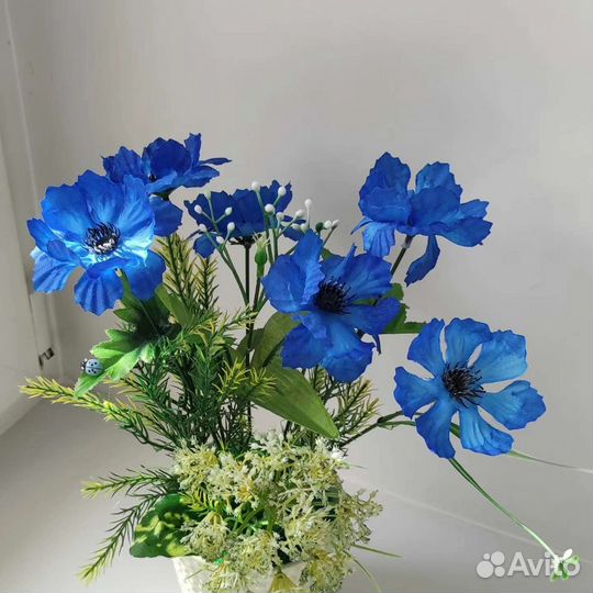 Васильки полевые цветы