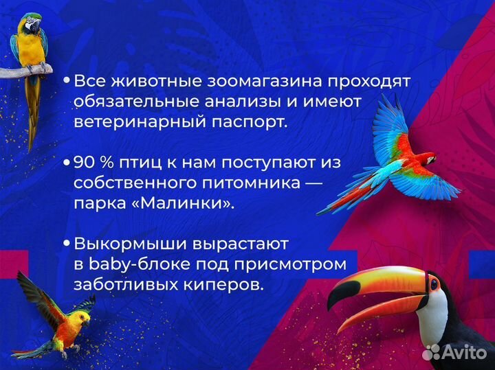 Мышь сатиновая