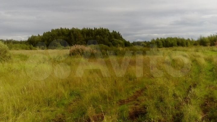 Участок 45 га (ИЖС)