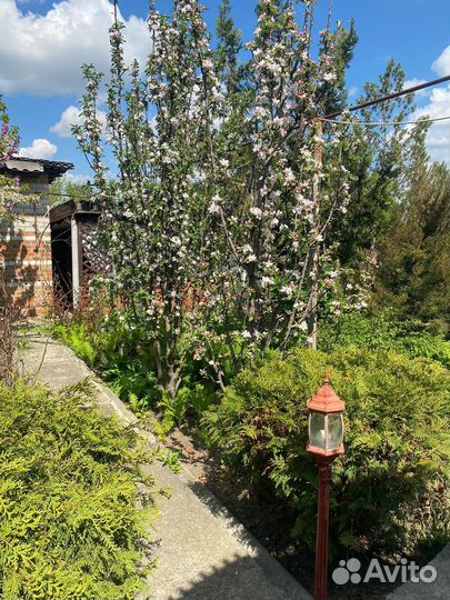 Жилой дом в центре