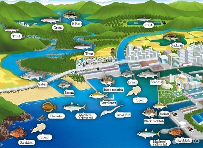 Daiwa mobile pack 765tmhb