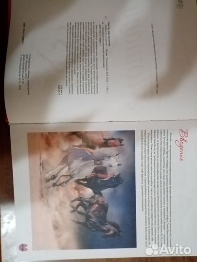 Книга про лошадей