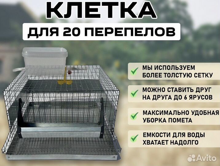 Клетка для перепелов на 20 голов