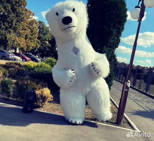 Медведь поздравление