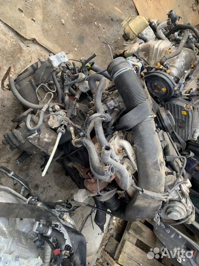 Двигатель Volkswagen Golf 4 AXR