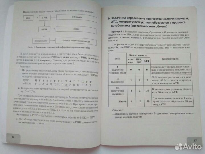 Тренировочная тетрадь для подготовки к егэ по биол