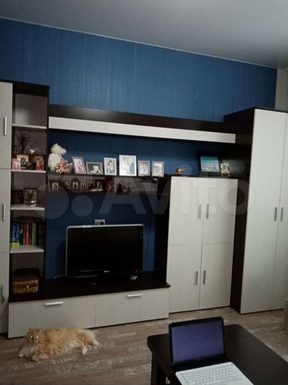 Комната 24,6 м² в 1-к., 3/5 эт.