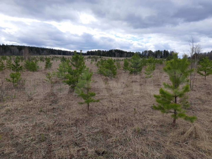 Участок 11 сот. (ИЖС)