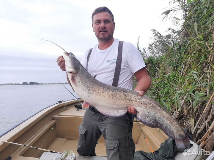 Рыбалка охота в Астрахани