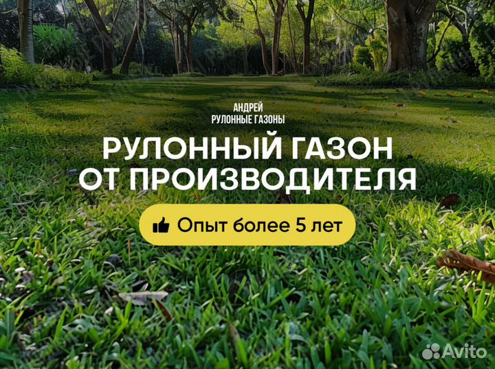 Газон в рулонах премиум под ключ