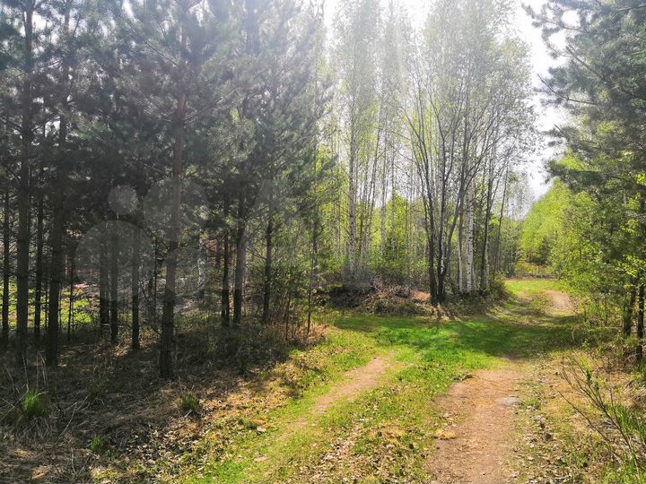 Участок 10 сот. (СНТ, ДНП)