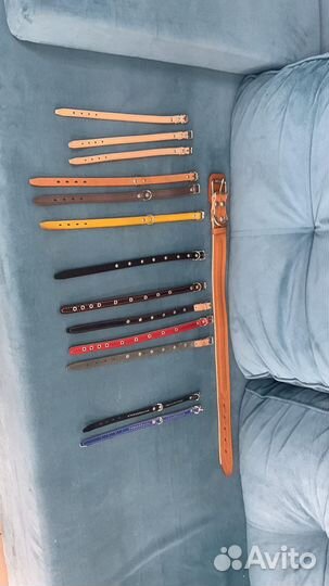 Ошейники для собак