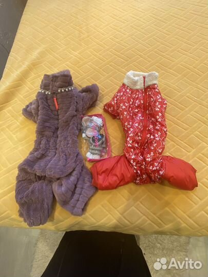 Одежда для собак мелких пород