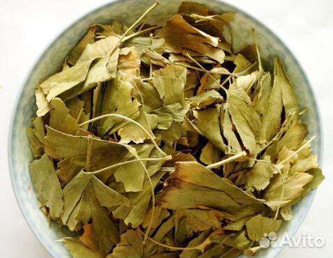 Гинкго Билоба