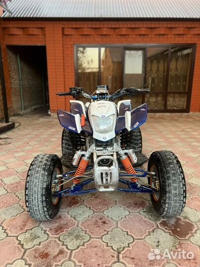 Ирбис 250