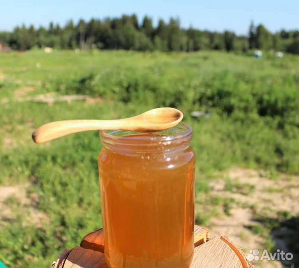 Мёд 2023 свежий 5 сортов мёда (с пасеки)