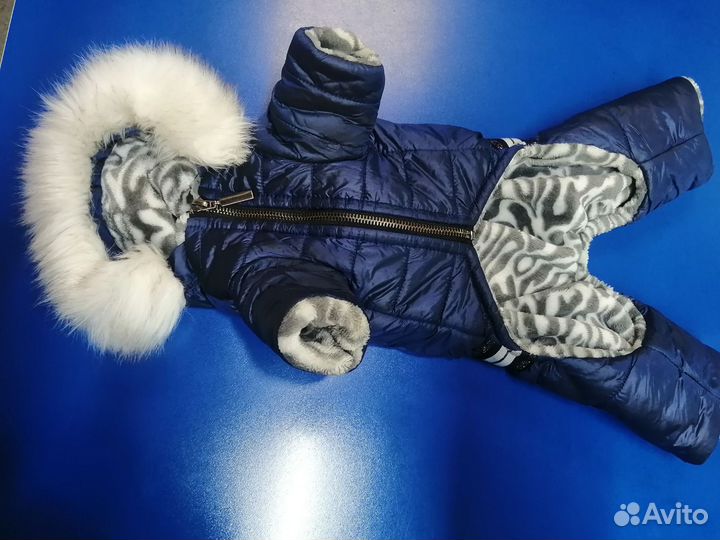 Зимний костюм для мелкой собачки