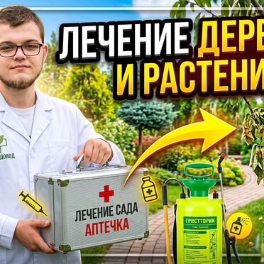 Лечение и обработка деревьев частник
