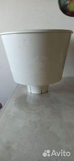 Драгоценная орхидея и горшок большого объёма