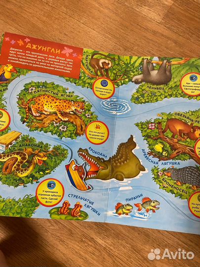 Книги детские музыкальные