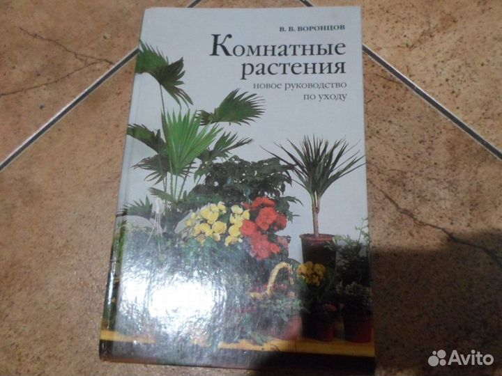 Комнатные растения,виноград,витамины