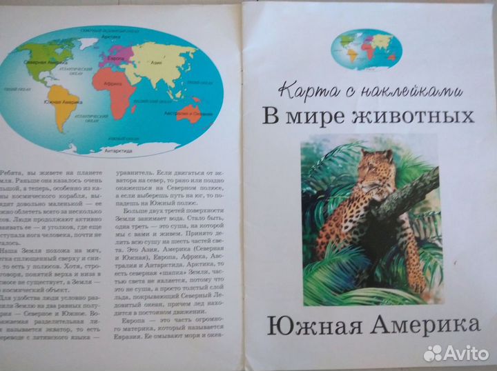 Детская обучающая книга