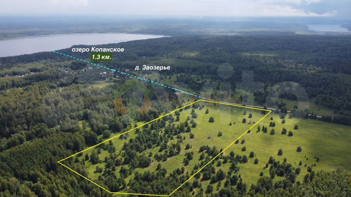 Участок 4,2 га (СНТ, ДНП)