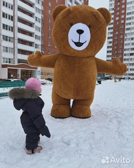 Поздравления от Медведя Тэдд