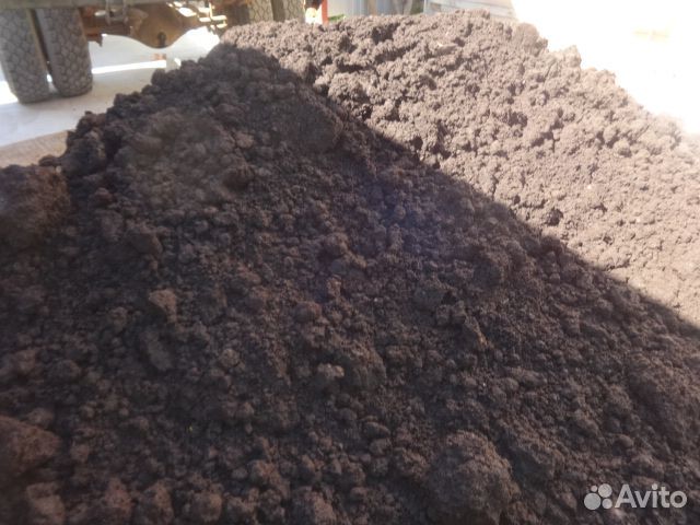 Навоз для вноса в землю весной