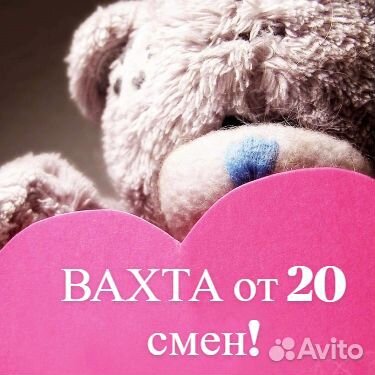 Упаковщица мягких игрушек. Кто ты зайка или котик