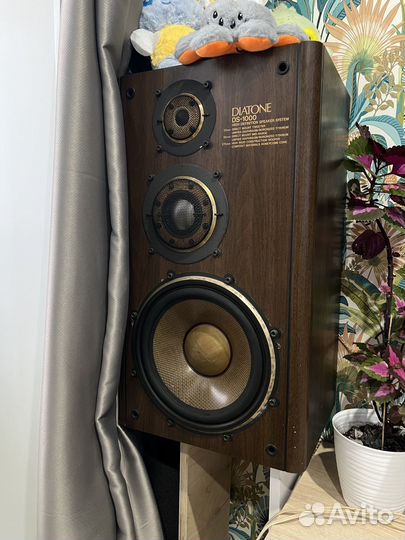 Акустика diatone DS 1000