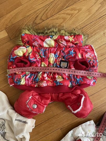 Одежда для маленьких собак