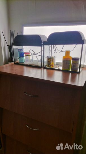 Аквариумы 5 литров