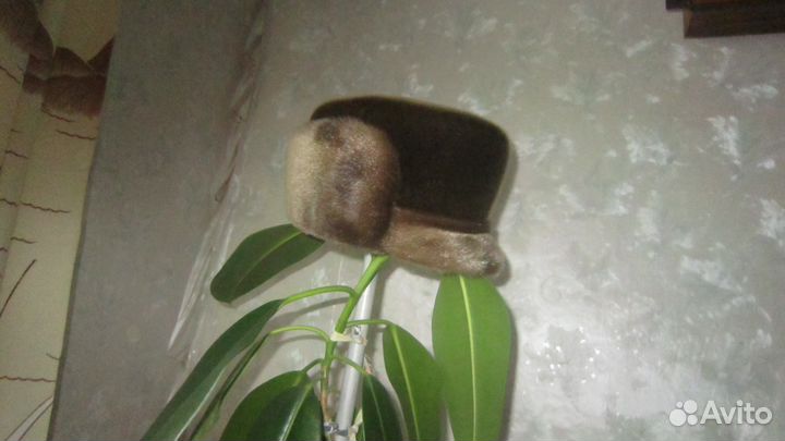 Продам новую мужскую шапку из нерпы