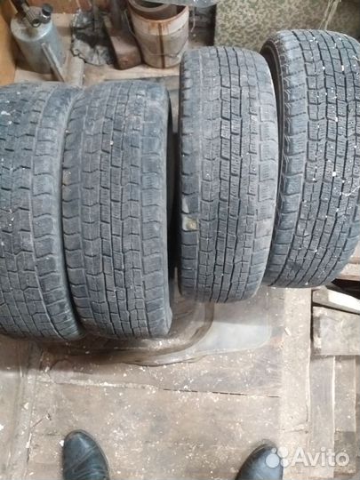 Goodyear Ice Navi Zea