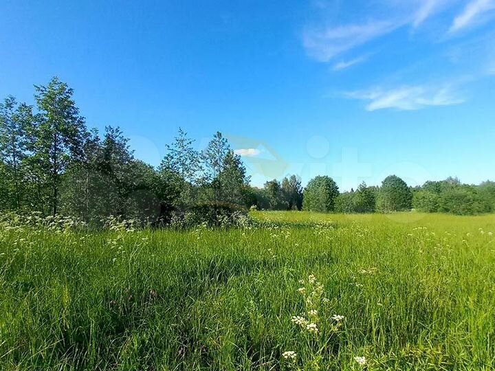 Участок 1,88 га (СНТ, ДНП)