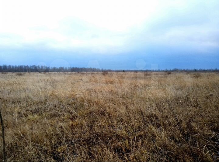 Участок 4 га (СНТ, ДНП)