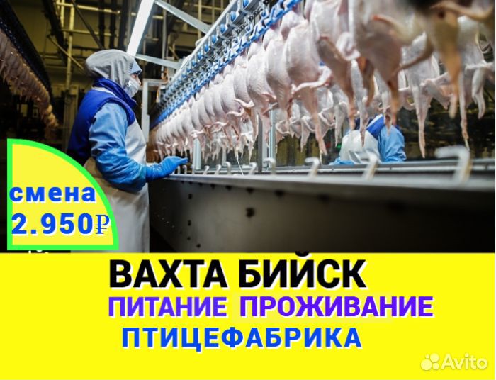 Вахта упаковщик проживание питание еженедельные вы