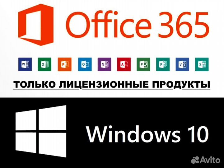 Office 365 + Ключ Windows 10 лицензия Комплект