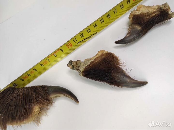 Когти медведя имитация