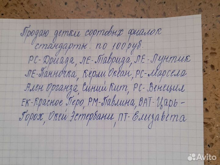 Продаются детки фиалок, разные сорта