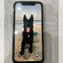 iPhone Xr, 128 ГБ