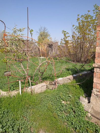 Участок 8,2 сот. (СНТ, ДНП)