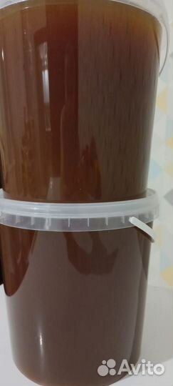 Гречишный Алтайский мёд 2023