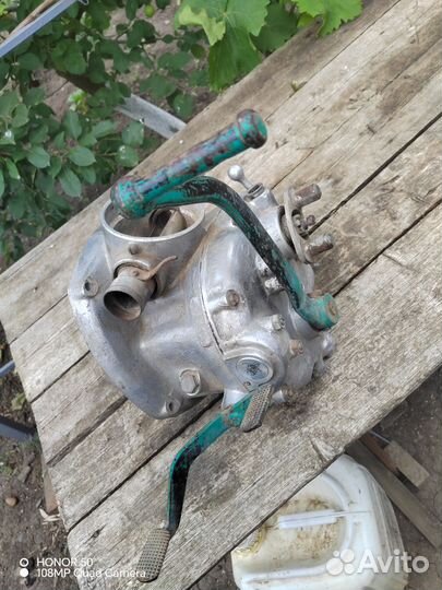 Овцы бараны