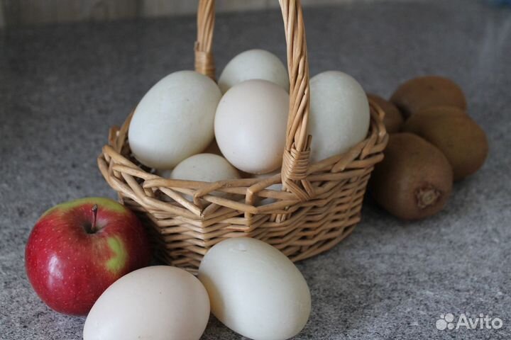 Яйцо домашнее куринное утиное свежее