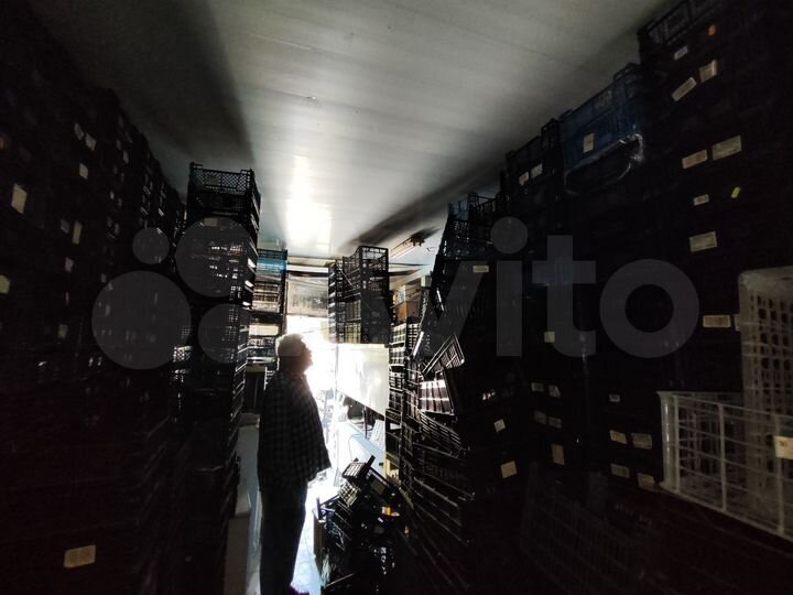 Свободного назначения, 36 м²