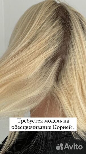 Модели на окрашивание