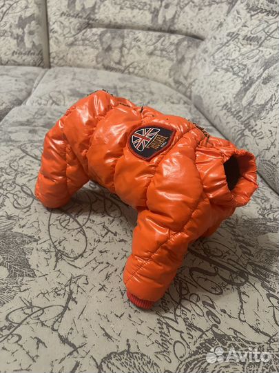 Комбенезон зима на маленькую собаку мальчика