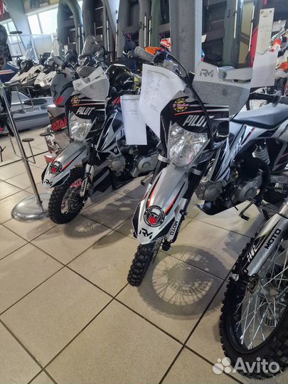 Питбайк Regulmoto 14/12 pilot EA 110 п/авт 2023